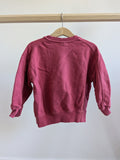 Zara Sweatshirt ( 2-3T )