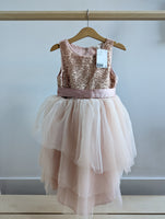 H&M Tulle Dress (4-5T) - New with Tags