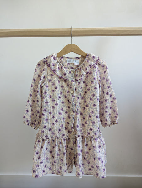 Zara Long Sleeve Chiffon Dress (2-3T)