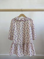 Zara Long Sleeve Chiffon Dress (2-3T)