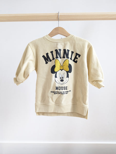 Zara Sweatshirt (9-12M)