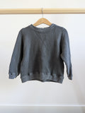 Zara Sweatshirt (3-4T)